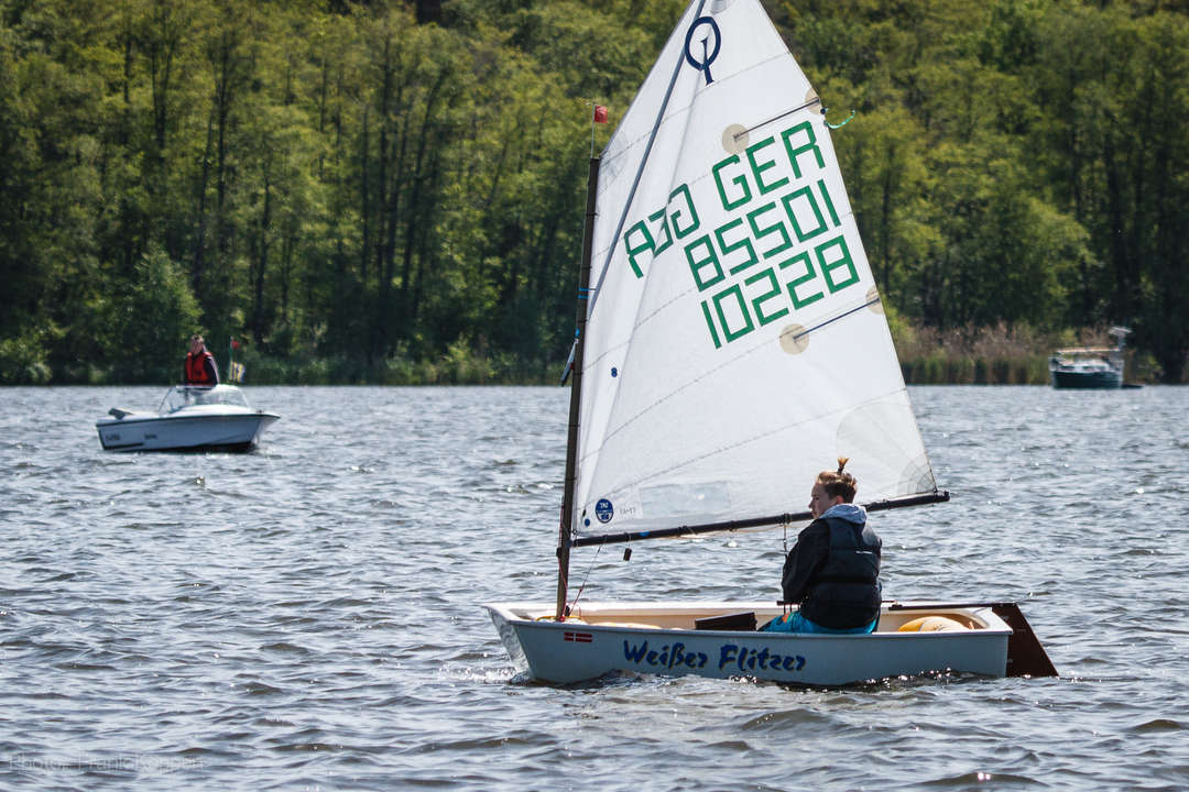 40. Krümelregatta 2019