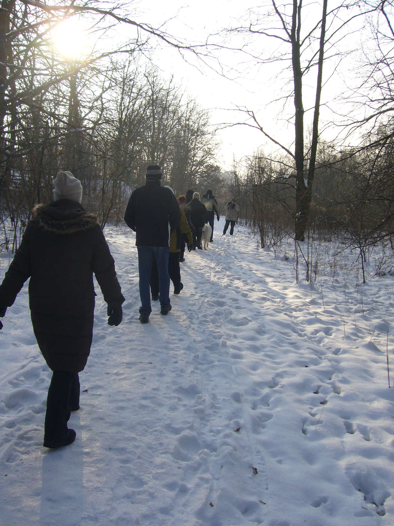 Winterwanderung 2010 zur Försterei Wüstemark