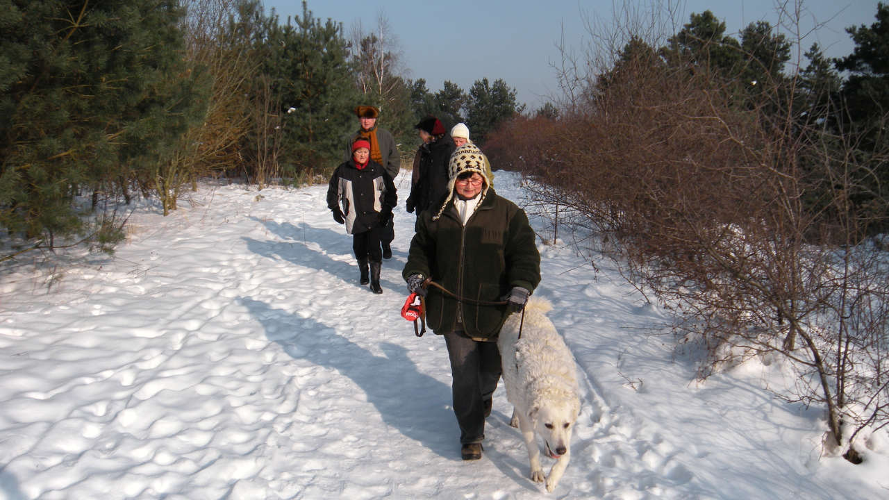 Winterwanderung 2010 zur Försterei Wüstemark