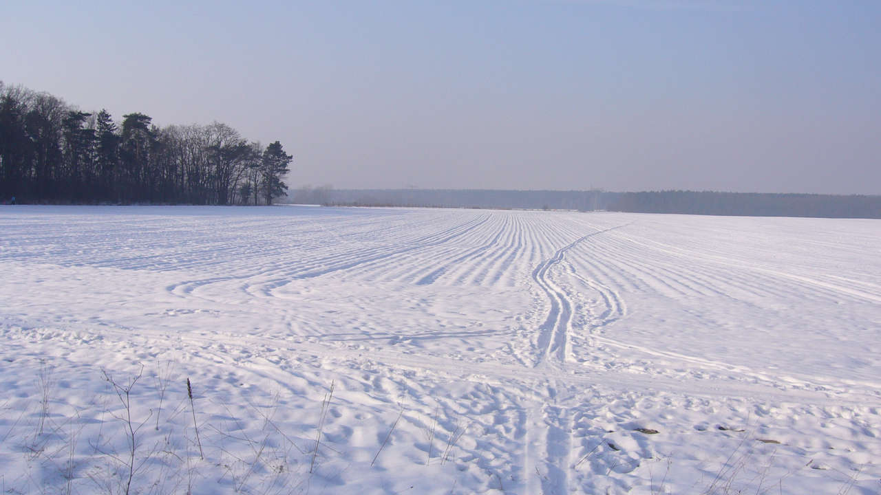 Winterwanderung 2010 zur Försterei Wüstemark