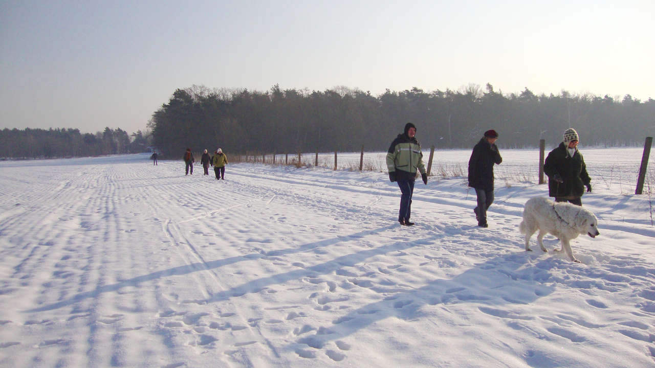 Winterwanderung 2010 zur Försterei Wüstemark