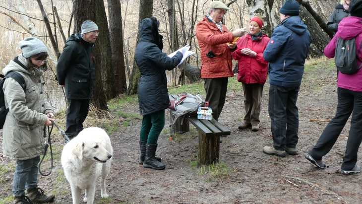 Winterwanderung 2019 am Tornower See