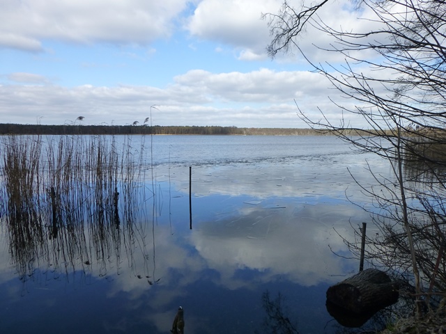 Winterwanderung 2015 im Naturschutzgebiet Wernsdorfer See