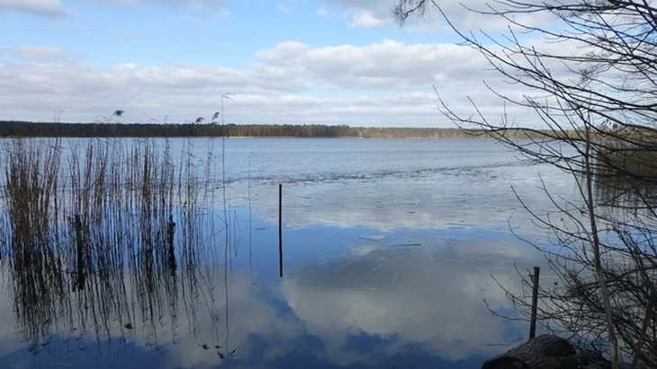 Winterwanderung 2015 im Naturschutzgebiet Wernsdorfer See